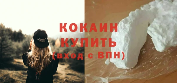 спиды Богородск