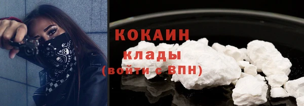 спиды Богородск