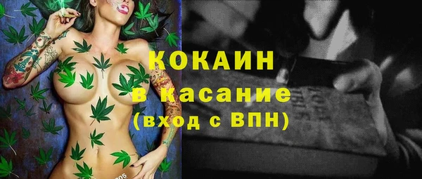 PSILOCYBIN Богданович